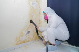 Best Water Damage & Mold Remediation  in Marquette Heights, IL